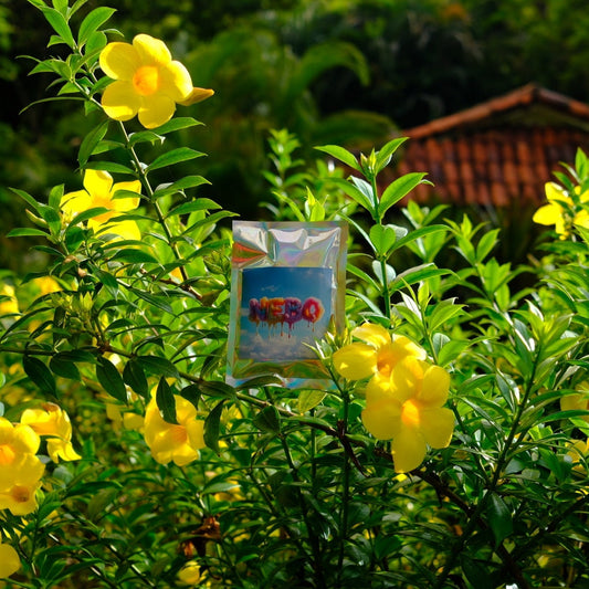 Sidama, Keramo Ethiopia (1-PACK)