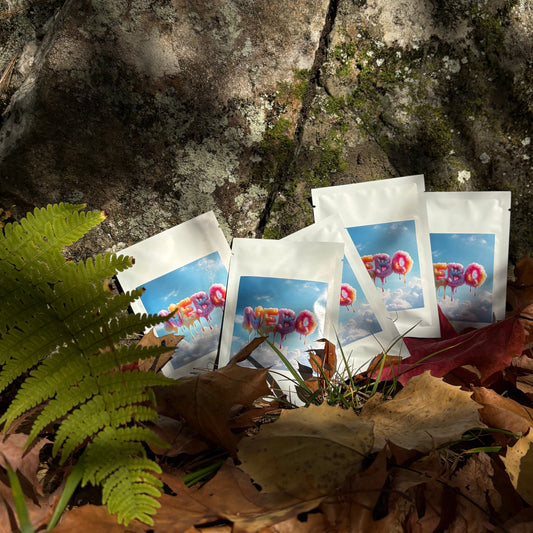 Sidama, Keramo Ethiopia (5-PACK)