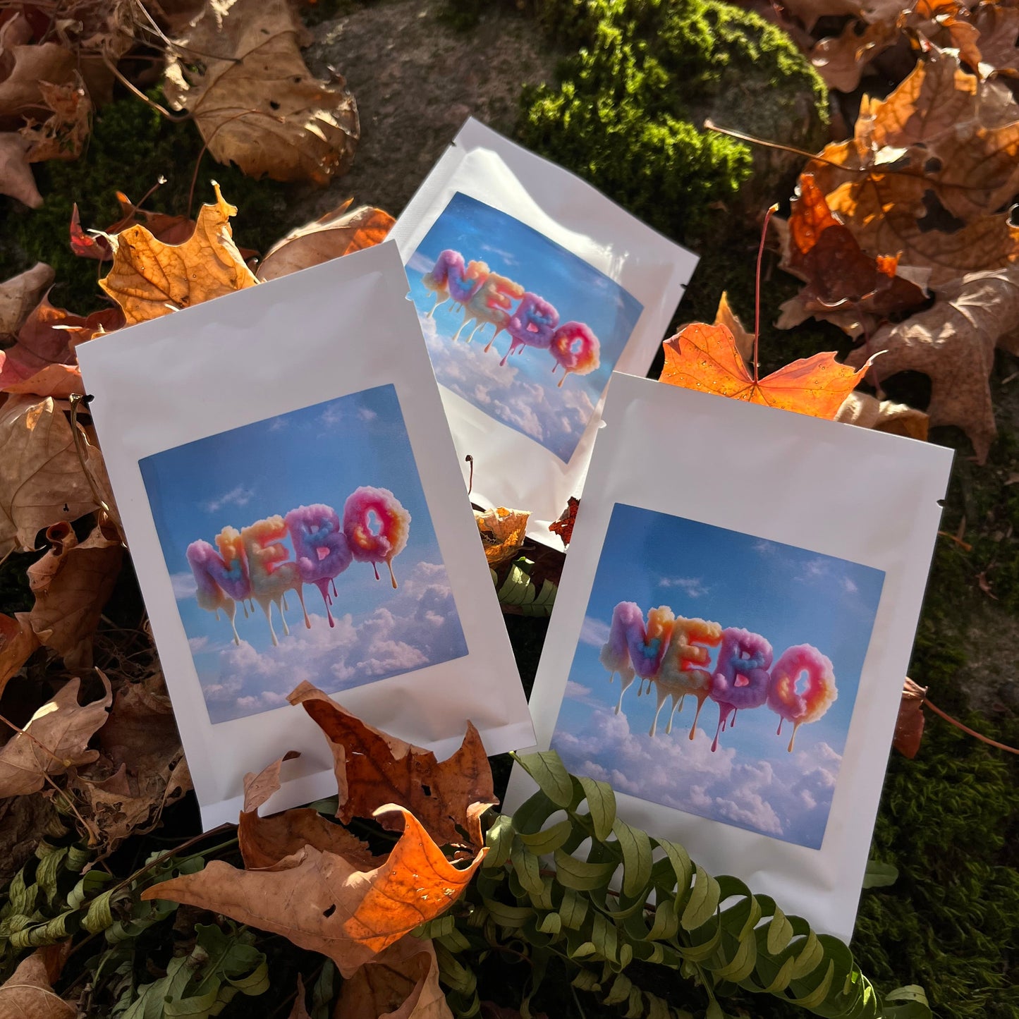 Tasting Bundle (3-PACK)